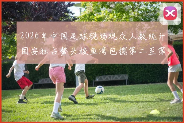 2026年中国足球现场观众人数统计国安独占鳌头梭鱼湾包揽第二至第七位