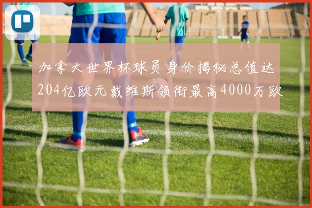 加拿大世界杯球员身价揭秘总值达204亿欧元戴维斯领衔最高4000万欧