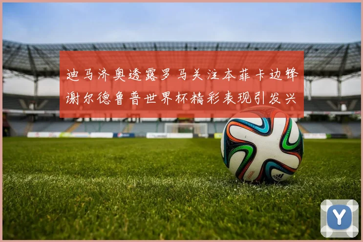 迪马济奥透露罗马关注本菲卡边锋谢尔德鲁普世界杯精彩表现引发兴趣